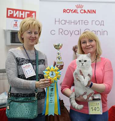   11-12  2015 WCF- 9-140-169A4353 copy.jpg